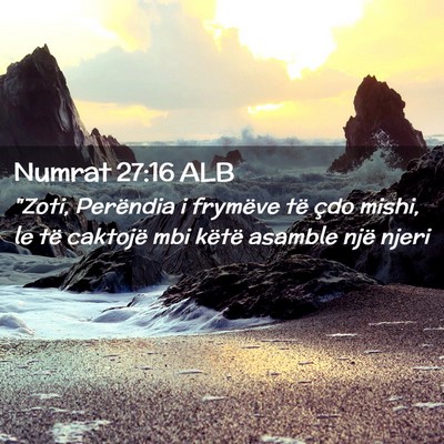 Picture 02 - Numrat 27:16 ALB - 