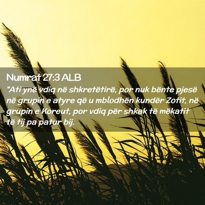 Picture 02 - Numrat 27:3 ALB - 