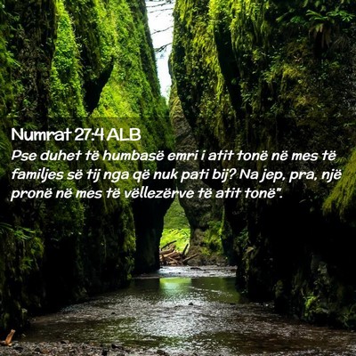 Picture 02 - Numrat 27:4 ALB - Pse duhet të humbasë emri i atit tonë në mes - Bible Verse Picture
