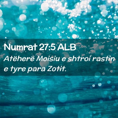 Picture 02 - Numrat 27:5 ALB - Atëherë Moisiu e shtroi rastin e tyre para - Bible Verse Picture