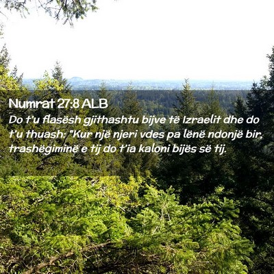 Picture 02 - Numrat 27:8 ALB - Do t’u flasësh gjithashtu bijve të Izraelit - Bible Verse Picture