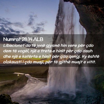 Picture 02 - Numrat 28:14 ALB - Libacionet do të jenë gjysmë hin vere për - Bible Verse Picture
