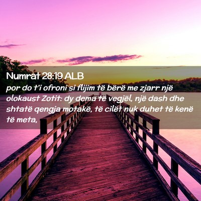 Picture 02 - Numrat 28:19 ALB - por do t’i ofroni si flijim të bërë me zjarr - Bible Verse Picture