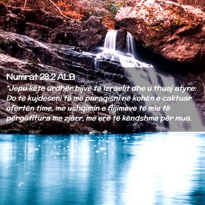 Picture 02 - Numrat 28:2 ALB - 