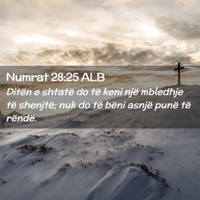 Picture 02 - Numrat 28:25 ALB - Ditën e shtatë do të keni një mbledhje të - Bible Verse Picture
