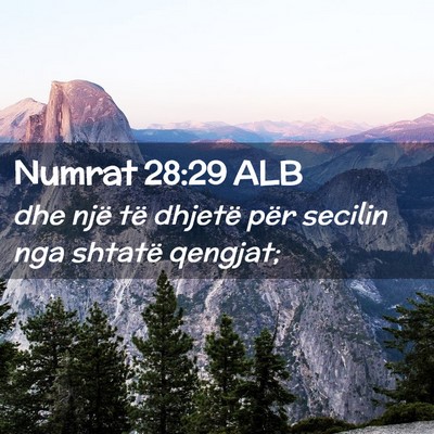 Picture 02 - Numrat 28:29 ALB - dhe një të dhjetë për secilin nga shtatë - Bible Verse Picture