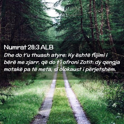 Picture 02 - Numrat 28:3 ALB - Dhe do t’u thuash atyre: Ky është flijimi i - Bible Verse Picture