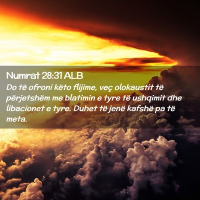 Picture 02 - Numrat 28:31 ALB - Do të ofroni këto flijime, veç olokaustit të - Bible Verse Picture
