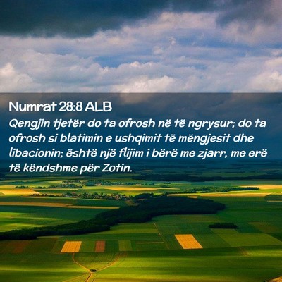 Picture 02 - Numrat 28:8 ALB - Qengjin tjetër do ta ofrosh në të ngrysur; do - Bible Verse Picture