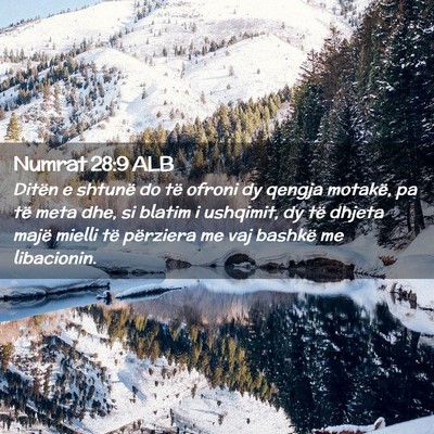 Picture 02 - Numrat 28:9 ALB - Ditën e shtunë do të ofroni dy qengja motakë, - Bible Verse Picture