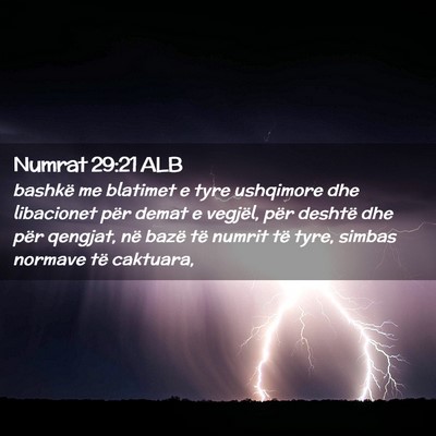 Picture 02 - Numrat 29:21 ALB - bashkë me blatimet e tyre ushqimore dhe - Bible Verse Picture