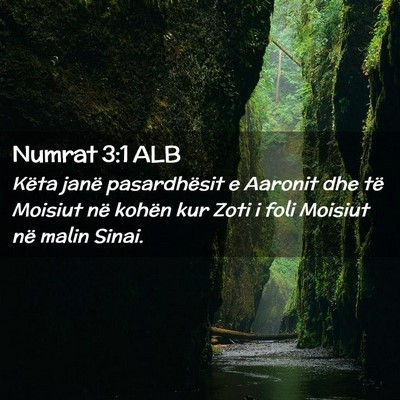 Picture 02 - Numrat 3:1 ALB - Këta janë pasardhësit e Aaronit dhe të - Bible Verse Picture