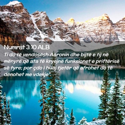 Picture 02 - Numrat 3:10 ALB - Ti do të vendosësh Aaronin dhe bijtë e tij në - Bible Verse Picture