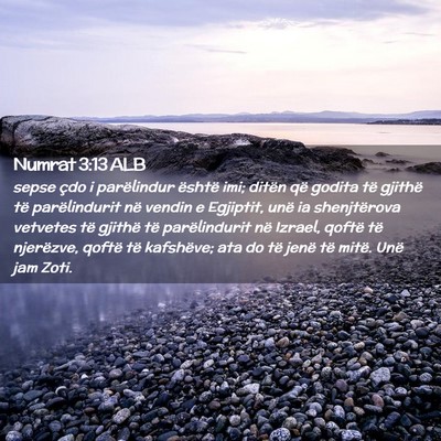 Picture 02 - Numrat 3:13 ALB - sepse çdo i parëlindur është imi; ditën që - Bible Verse Picture