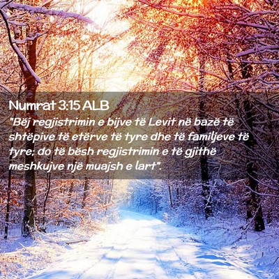 Picture 02 - Numrat 3:15 ALB - 