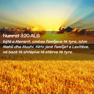 Picture 02 - Numrat 3:20 ALB - bijtë e Merarit, simbas familjeve të tyre, - Bible Verse Picture