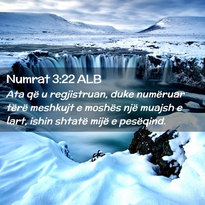 Picture 02 - Numrat 3:22 ALB - Ata që u regjistruan, duke numëruar tërë - Bible Verse Picture