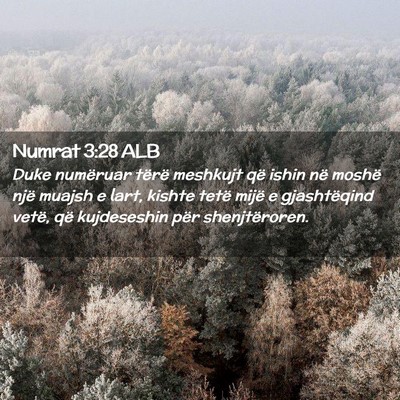 Picture 02 - Numrat 3:28 ALB - Duke numëruar tërë meshkujt që ishin në - Bible Verse Picture