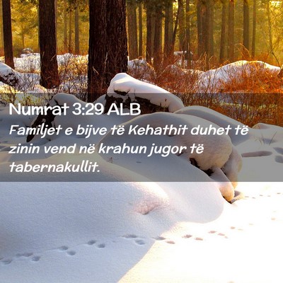 Picture 02 - Numrat 3:29 ALB - Familjet e bijve të Kehathit duhet të zinin - Bible Verse Picture