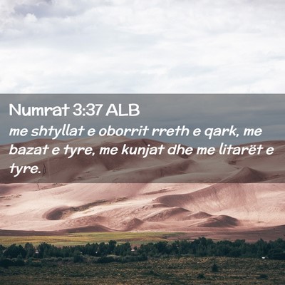 Picture 02 - Numrat 3:37 ALB - me shtyllat e oborrit rreth e qark, me bazat e - Bible Verse Picture
