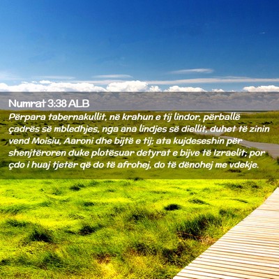 Picture 02 - Numrat 3:38 ALB - Përpara tabernakullit, në krahun e tij lindor, - Bible Verse Picture