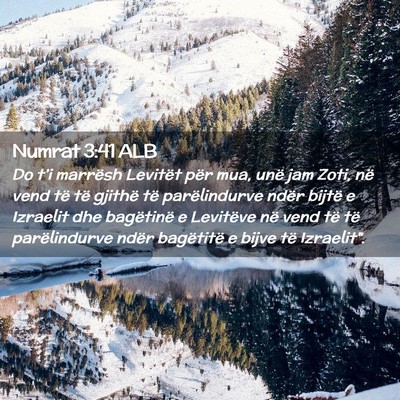 Picture 02 - Numrat 3:41 ALB - Do t’i marrësh Levitët për mua, unë jam - Bible Verse Picture
