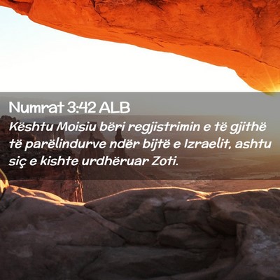 Picture 02 - Numrat 3:42 ALB - Kështu Moisiu bëri regjistrimin e të gjithë - Bible Verse Picture