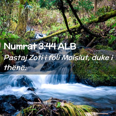 Picture 02 - Numrat 3:44 ALB - Pastaj Zoti i foli Moisiut, duke i - Bible Verse Picture