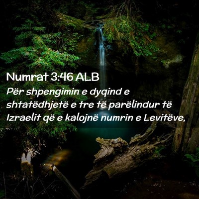 Picture 02 - Numrat 3:46 ALB - Për shpengimin e dyqind e shtatëdhjetë e tre - Bible Verse Picture