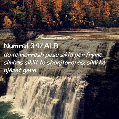 Picture 02 - Numrat 3:47 ALB - do të marrësh pesë sikla për frymë, simbas - Bible Verse Picture