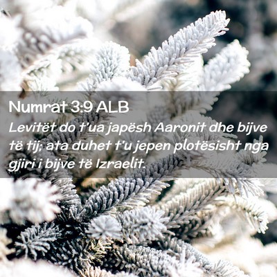 Picture 02 - Numrat 3:9 ALB - Levitët do t’ua japësh Aaronit dhe bijve të - Bible Verse Picture