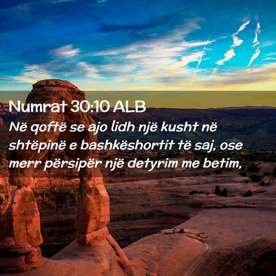 Picture 02 - Numrat 30:10 ALB - Në qoftë se ajo lidh një kusht në shtëpinë - Bible Verse Picture