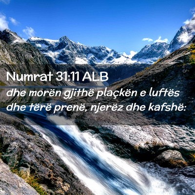 Picture 02 - Numrat 31:11 ALB - dhe morën gjithë plaçkën e luftës dhe tërë - Bible Verse Picture