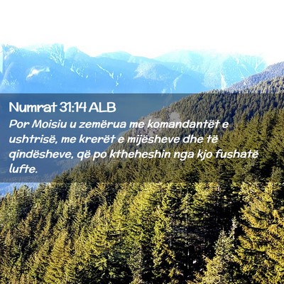 Picture 02 - Numrat 31:14 ALB - Por Moisiu u zemërua me komandantët e - Bible Verse Picture