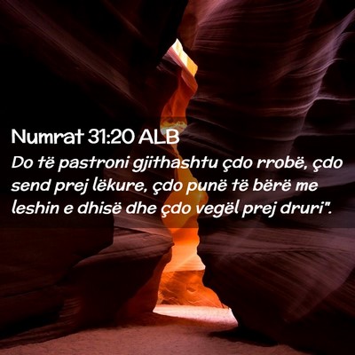Picture 02 - Numrat 31:20 ALB - Do të pastroni gjithashtu çdo rrobë, çdo send - Bible Verse Picture