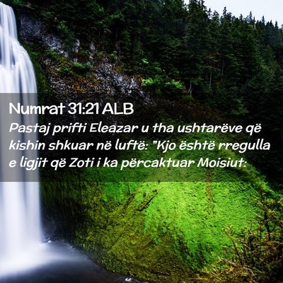 Picture 02 - Numrat 31:21 ALB - Pastaj prifti Eleazar u tha ushtarëve që kishin - Bible Verse Picture