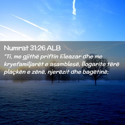 Picture 02 - Numrat 31:26 ALB - 