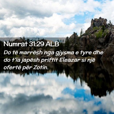 Picture 02 - Numrat 31:29 ALB - Do të marrësh nga gjysma e tyre dhe do t’ia - Bible Verse Picture