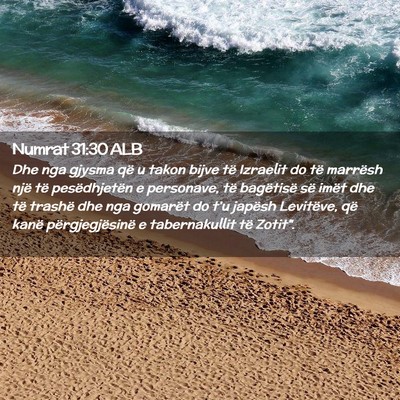 Picture 02 - Numrat 31:30 ALB - Dhe nga gjysma që u takon bijve të Izraelit do - Bible Verse Picture