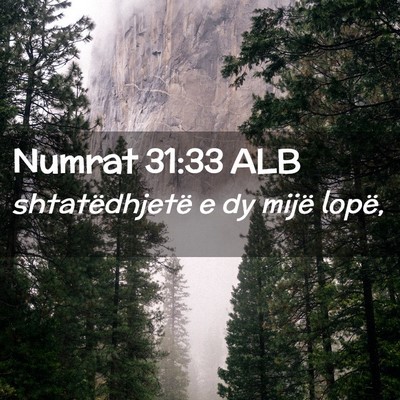 Picture 02 - Numrat 31:33 ALB - shtatëdhjetë e dy mijë - Bible Verse Picture