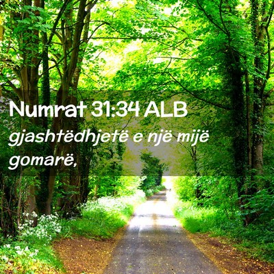 Picture 02 - Numrat 31:34 ALB - gjashtëdhjetë e një mijë - Bible Verse Picture