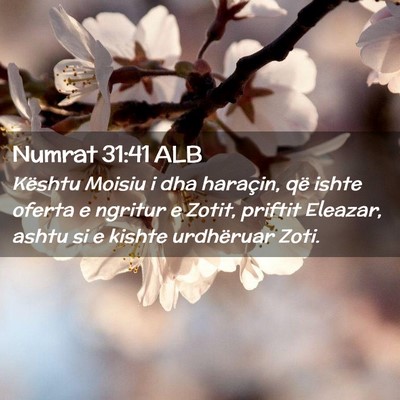 Picture 02 - Numrat 31:41 ALB - Kështu Moisiu i dha haraçin, që ishte oferta e - Bible Verse Picture