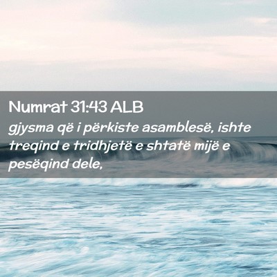 Picture 02 - Numrat 31:43 ALB - gjysma që i përkiste asamblesë, ishte treqind - Bible Verse Picture