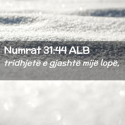 Picture 02 - Numrat 31:44 ALB - tridhjetë e gjashtë mijë - Bible Verse Picture