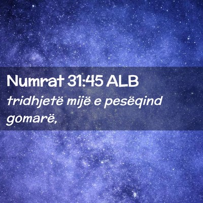 Picture 02 - Numrat 31:45 ALB - tridhjetë mijë e pesëqind - Bible Verse Picture