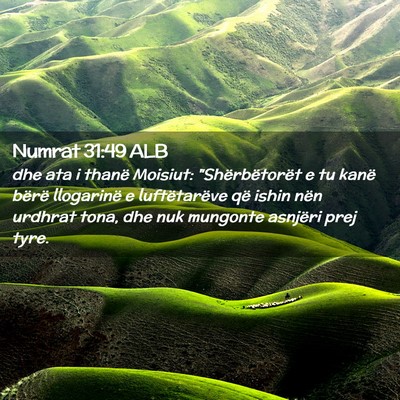 Picture 02 - Numrat 31:49 ALB - dhe ata i thanë Moisiut: 