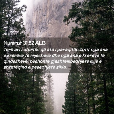 Picture 02 - Numrat 31:52 ALB - Tërë ari i ofertës që ata i paraqitën Zotit - Bible Verse Picture