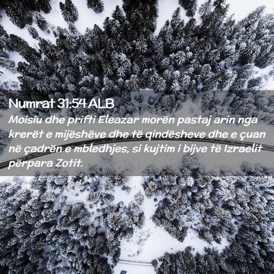 Picture 02 - Numrat 31:54 ALB - Moisiu dhe prifti Eleazar morën pastaj arin nga - Bible Verse Picture