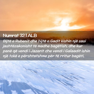 Picture 02 - Numrat 32:1 ALB - Bijtë e Rubenit dhe bijtë e Gadit kishin një - Bible Verse Picture
