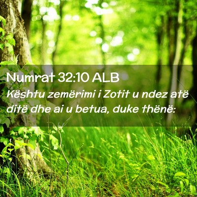 Picture 02 - Numrat 32:10 ALB - Kështu zemërimi i Zotit u ndez atë ditë dhe - Bible Verse Picture